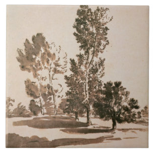 Tree Study (pen & ink on paper) Ceramic Tile