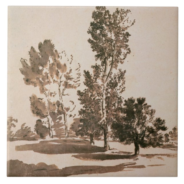 Tree Study (pen & ink on paper) Ceramic Tile (Front)