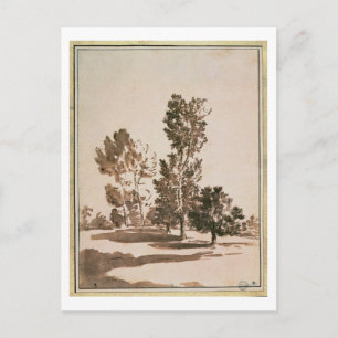 Tree Study (pen & ink on paper) Postcard