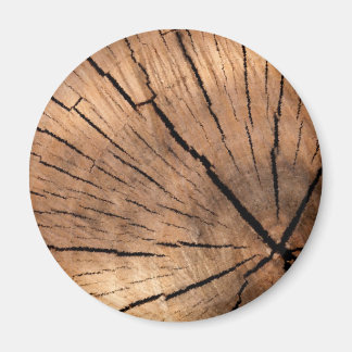 TREE STUMP MAGNET