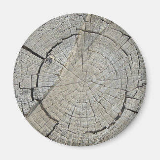 Tree Stump Magnet