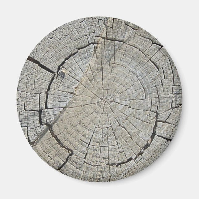 Tree Stump Magnet (Front)