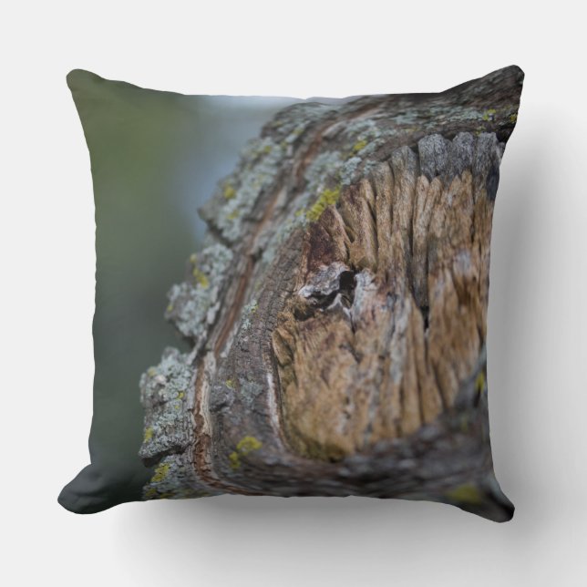 Tree Stump Photography Cushion (Front)