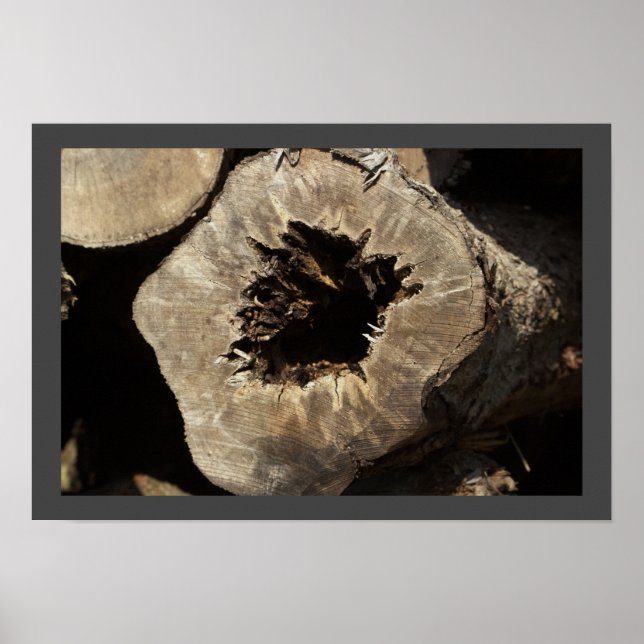 Tree Stump Poster (Front)