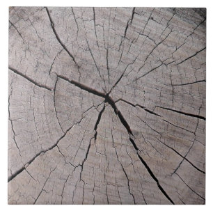 tree stump rustic background natural ceramic tile