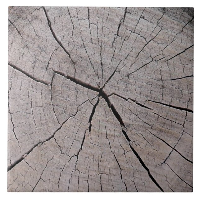 tree stump rustic background natural  ceramic tile (Front)