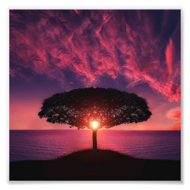 Tree & Sun Photo Print (Front)