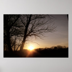 Tree-Sunset Poster