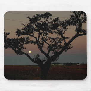 Tree Sunset Wall Nature Photography  Mouse Pad