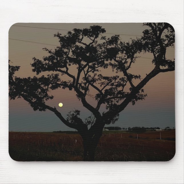 Tree Sunset Wall Nature Photography  Mouse Pad (Front)