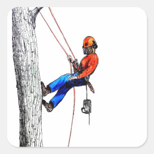 Tree Surgeon Arborist Forester Square Sticker