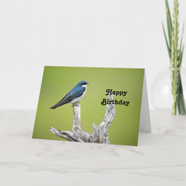 Tree Swallow Birthday Card (Front)