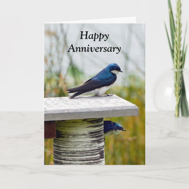 Tree Swallow Couple Happy Anniversary Card (Front)