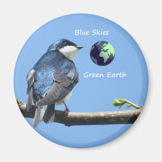 Tree Swallow Ecology magnet (Front)