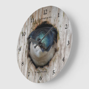 Tree Swallow in a Nestbox Large Clock