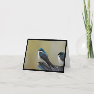 Tree Swallow Note Card (blank)