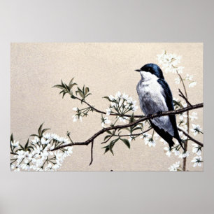 Tree swallow poster