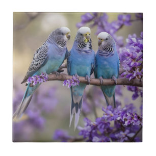 Tree Top Chatter: Blue Budgies In Jacaranda Tree, Ceramic Tile