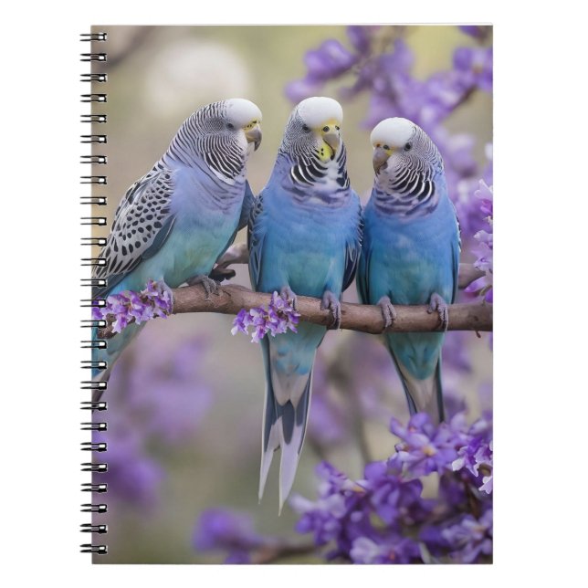 Tree Top Chatter: Blue Budgies In Jacaranda Tree, Notebook (Front)