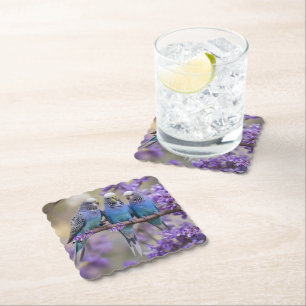 Tree Top Chatter: Blue Budgies In Jacaranda Tree, Paper Coaster