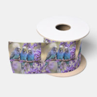 Tree Top Chatter: Blue Budgies In Jacaranda Tree,