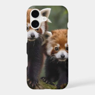 "Tree-top Explorers: Baby Red Pandas Looking Out