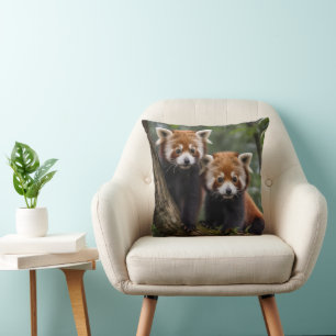 "Tree-top Explorers: Baby Red Pandas Looking Out Cushion