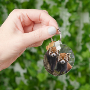 "Tree-top Explorers: Baby Red Pandas Looking Out Key Ring