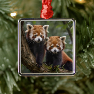 "Tree-top Explorers: Baby Red Pandas Looking Out Metal Ornament