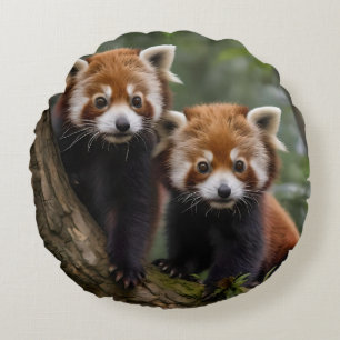 "Tree-top Explorers: Baby Red Pandas Looking Out Round Cushion