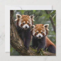 "Tree-top Explorers: Baby Red Pandas Looking Out