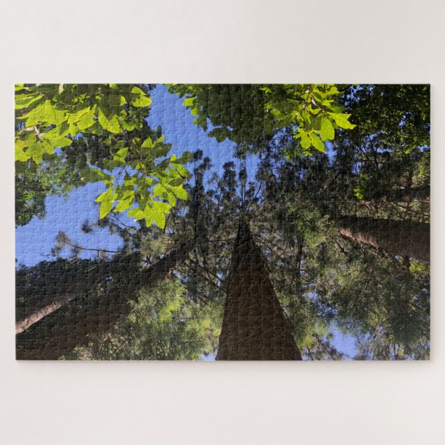 tree top leaves jigsaw puzzle (Horizontal)
