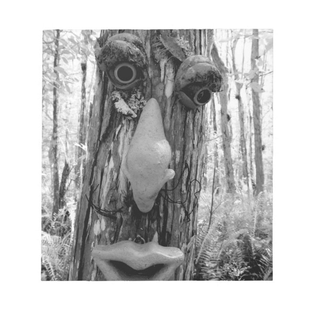 Tree troll on a Big Cypress tree. Notepad (Front)