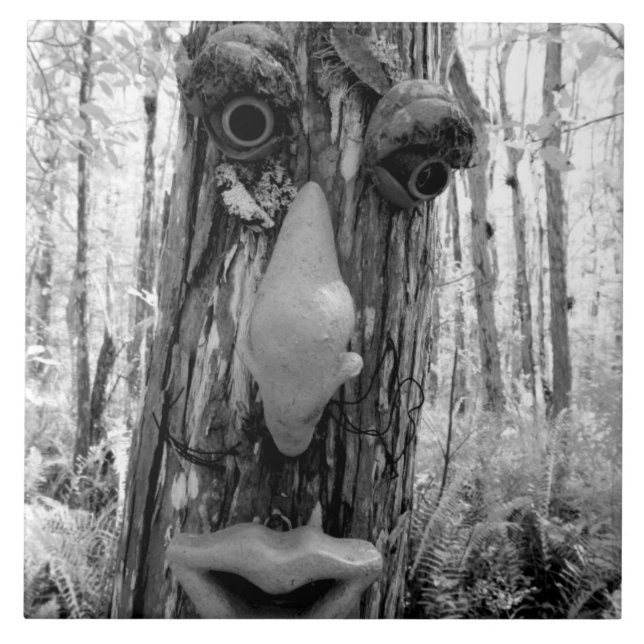 Tree troll on a Big Cypress tree. Tile (Front)