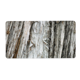 Tree trunk