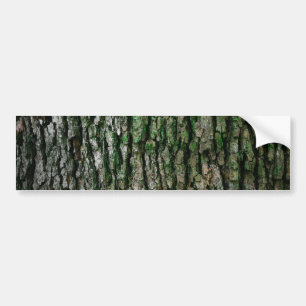 Tree Trunk Bumper Sticker