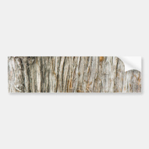 Tree trunk bumper sticker