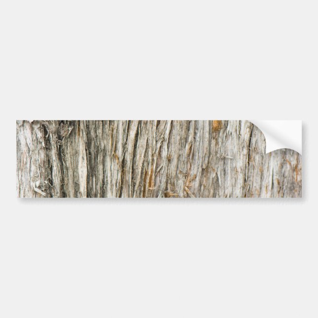 Tree trunk bumper sticker (Front)