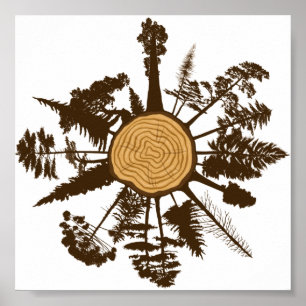 Tree Trunk Cross Section Growth Rings Pine Trees Poster