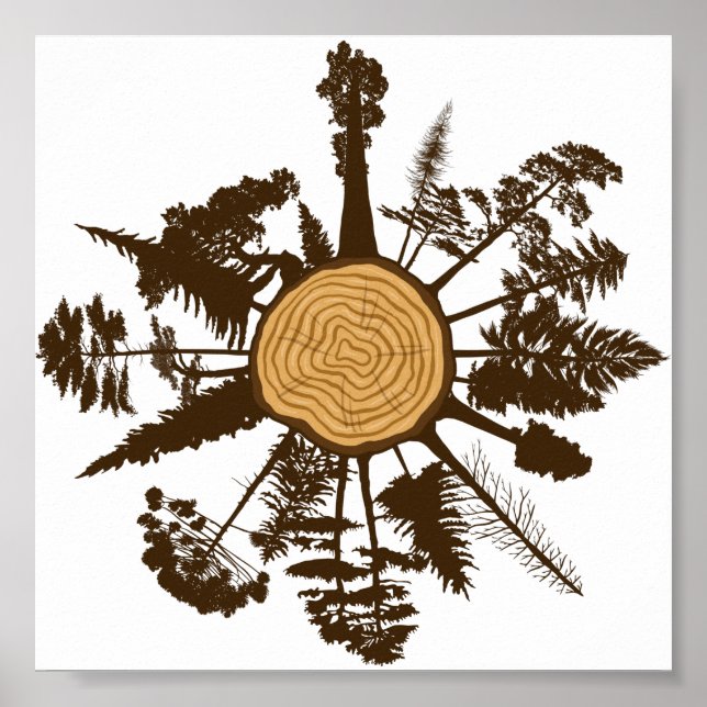 Tree Trunk Cross Section Growth Rings Pine Trees Poster (Front)