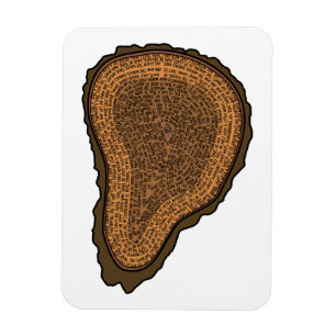 Tree Trunk Cross Section Growth Rings Trees Magnet
