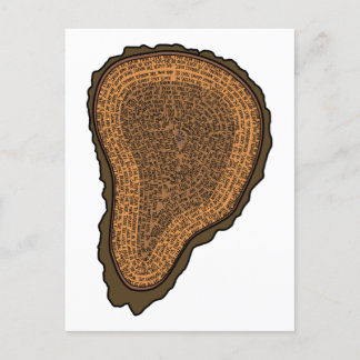 Tree Trunk Cross Section Growth Rings Trees Postcard