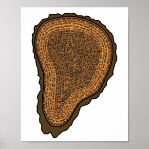 Tree Trunk Cross Section Growth Rings Trees Poster