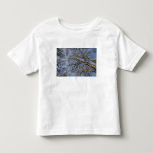 Tree trunk design/pattern. Pioineer Park, WA Toddler T-Shirt