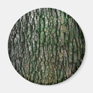 Tree Trunk Magnet