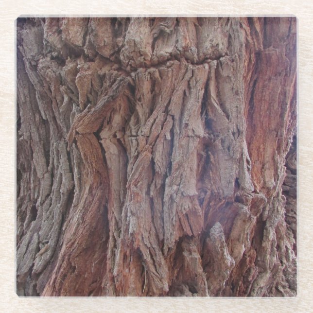 Tree Trunk Photo Red Brown Striped Woodgrain Bark Glass Coaster (Front)