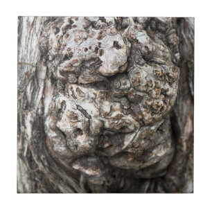 Tree trunk’s knot ceramic tile
