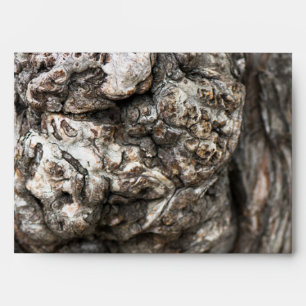 Tree trunk’s knot envelopes