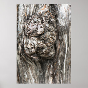 Tree trunk’s knot poster