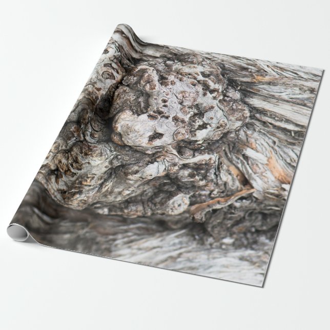 Tree trunk’s knot wrapping paper (Unrolled)
